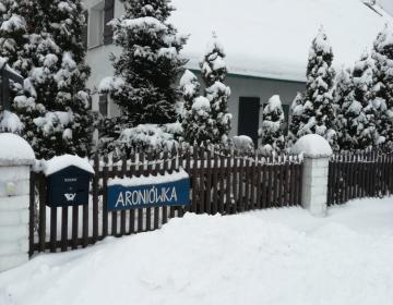 Aroniówka zimą