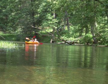 spływy kajakowe na Wdzie