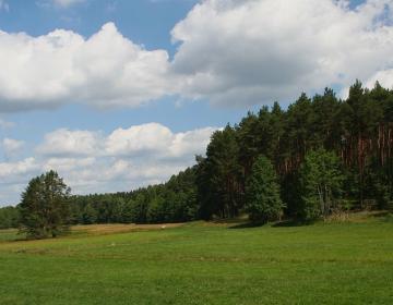 Wdecki Park Krajobrazow - Dolina Sobińskiej Strugi - fot. Przykuta