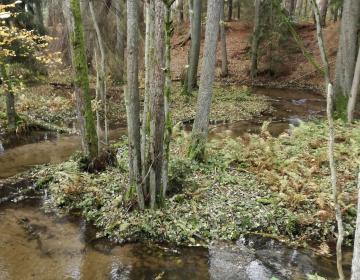 Rzeka Mukrz jesienią