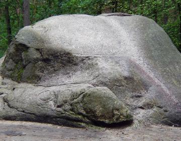 Kamien Św. Wojciecha - Leosia - fot. Włodzimierz Wysocki