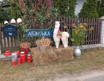 Dożynki we wsi Jędrzejewo